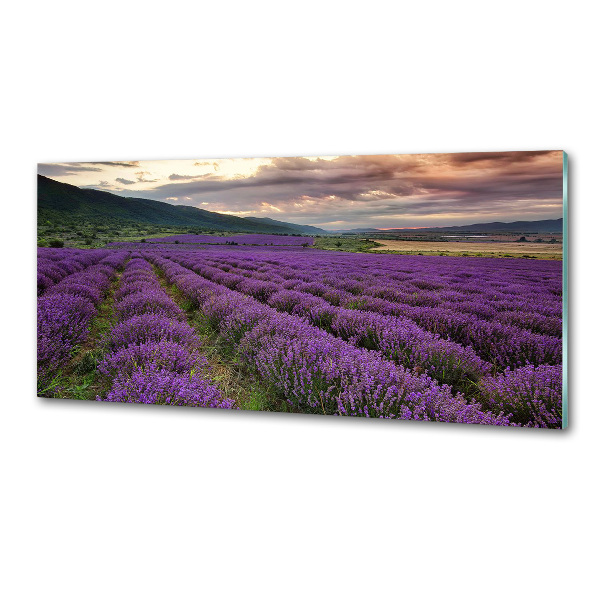 Spatplaat keuken Lavendelveld