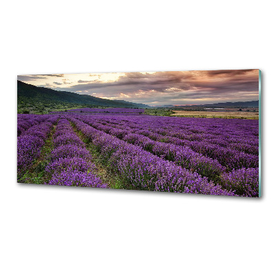 Spatplaat keuken Lavendelveld