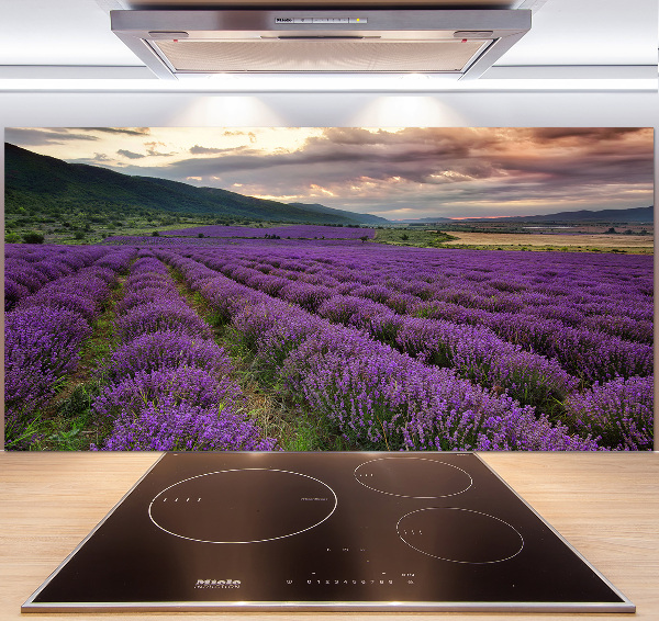 Spatplaat keuken Lavendelveld