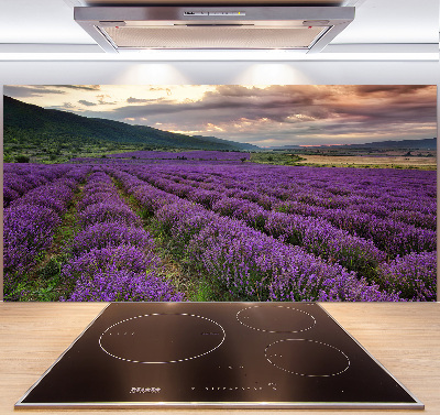 Spatplaat keuken Lavendelveld