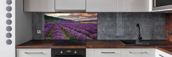 Spatplaat keuken Lavendelveld