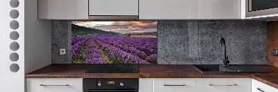 Spatplaat keuken Lavendelveld
