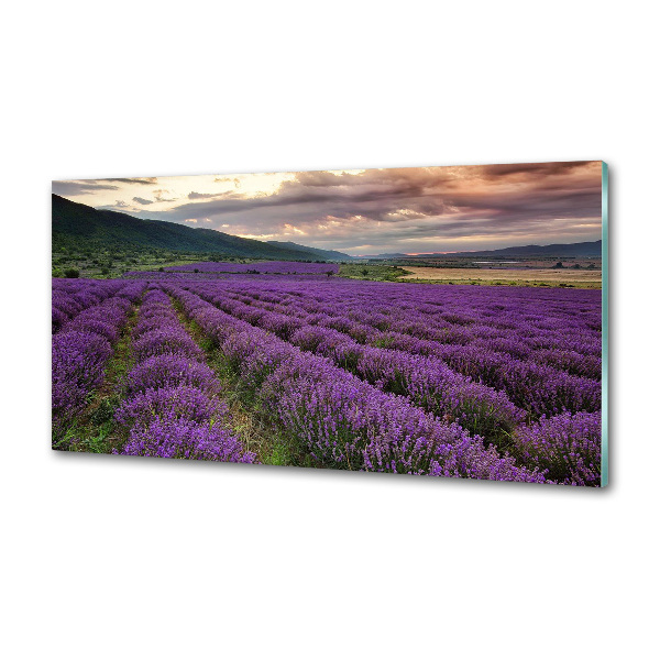 Spatplaat keuken Lavendelveld