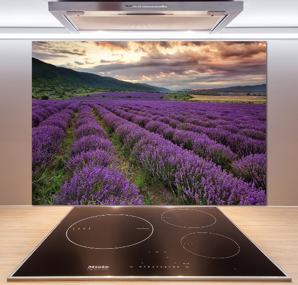 Spatplaat keuken Lavendelveld