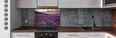 Spatplaat keuken Lavendelveld