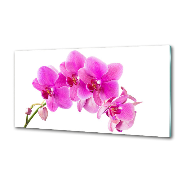 Spatscherm keuken Roze orchidee