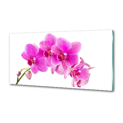 Spatscherm keuken Roze orchidee