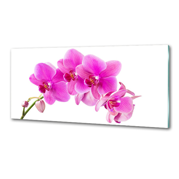 Spatscherm keuken Roze orchidee