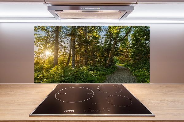 Spatplaat keuken Woud