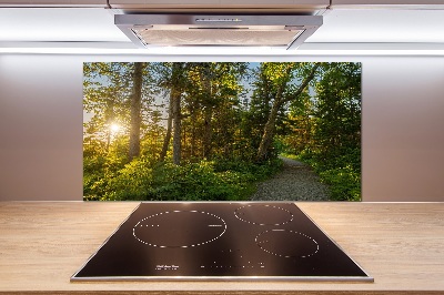 Spatplaat keuken Woud