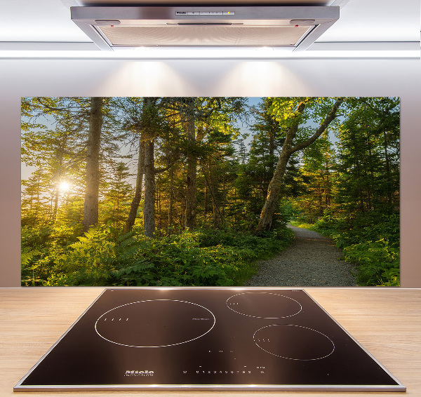 Spatplaat keuken Woud