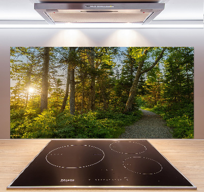 Spatplaat keuken Woud