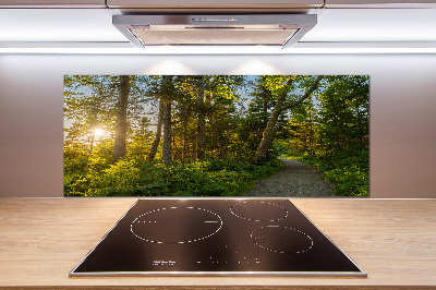 Panel szkło hartowane do kuchni Las