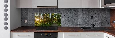 Spatplaat keuken Woud