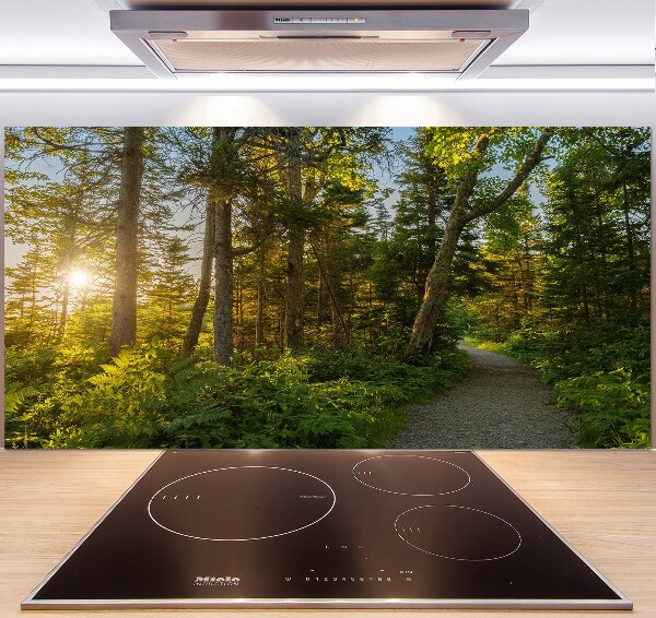 Spatplaat keuken Woud