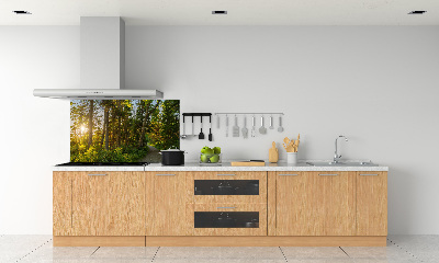 Spatplaat keuken Woud
