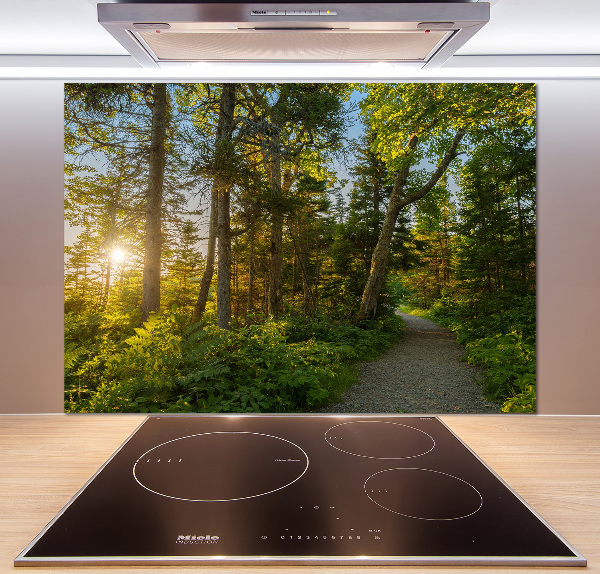 Spatplaat keuken Woud