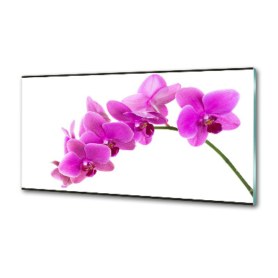 Keuken achterwand Roze orchidee