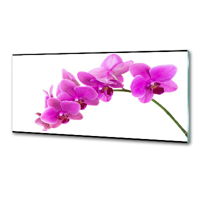 Panel do kuchni Różowa orchidea