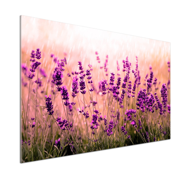 Spatscherm keuken Lavendel