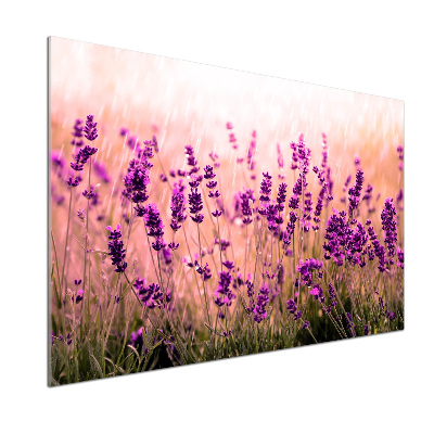 Spatscherm keuken Lavendel