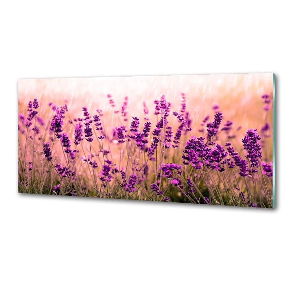Spatscherm keuken Lavendel