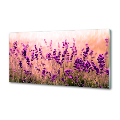 Spatscherm keuken Lavendel