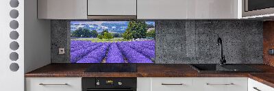 Spatscherm keuken Lavendelveld