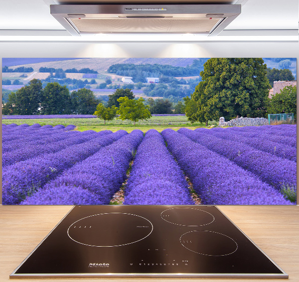 Spatscherm keuken Lavendelveld