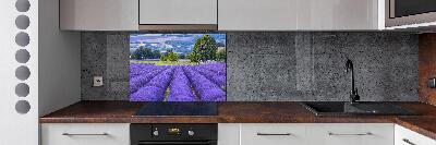 Spatscherm keuken Lavendelveld