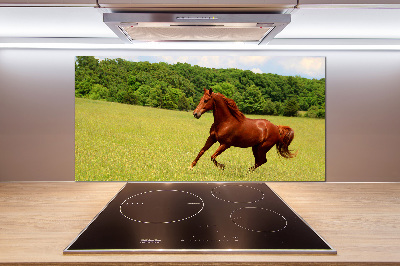 Glazen achterwand keuken Een paard in de wei