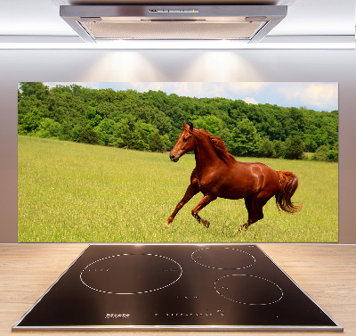 Glazen achterwand keuken Een paard in de wei