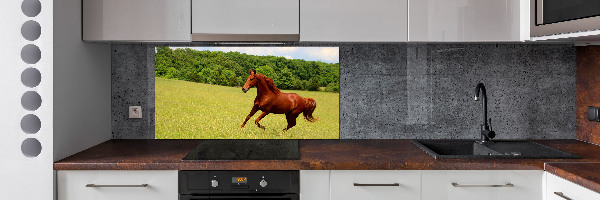 Glazen achterwand keuken Een paard in de wei