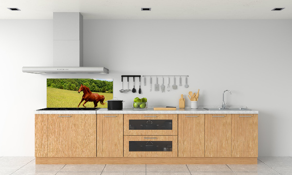 Glazen achterwand keuken Een paard in de wei