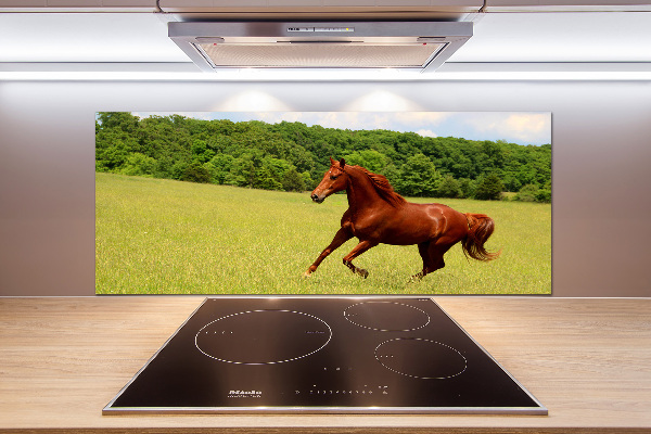 Glazen achterwand keuken Een paard in de wei