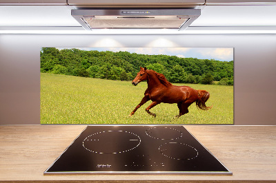 Glazen achterwand keuken Een paard in de wei