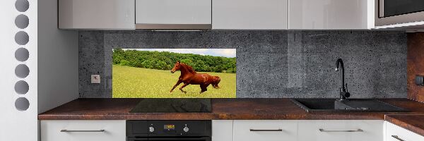 Glazen achterwand keuken Een paard in de wei