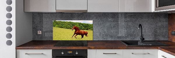Glazen achterwand keuken Een paard in de wei