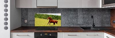Glazen achterwand keuken Een paard in de wei