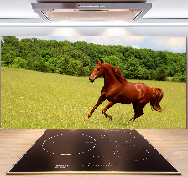 Glazen achterwand keuken Een paard in de wei