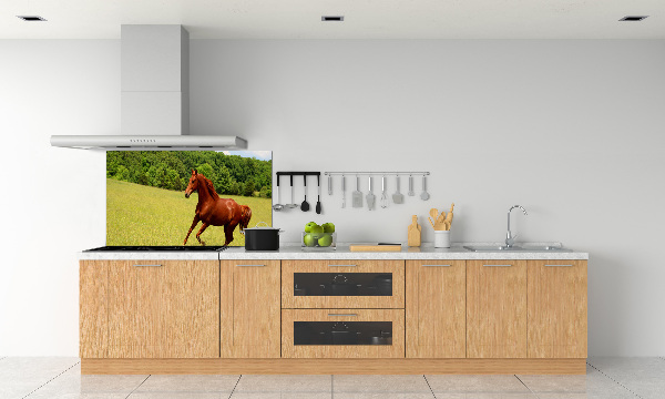 Glazen achterwand keuken Een paard in de wei