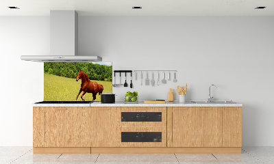 Glazen achterwand keuken Een paard in de wei