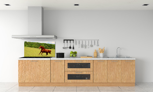 Glazen achterwand keuken Een paard in de wei