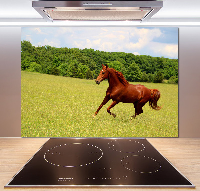 Glazen achterwand keuken Een paard in de wei