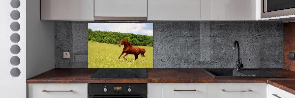 Glazen achterwand keuken Een paard in de wei