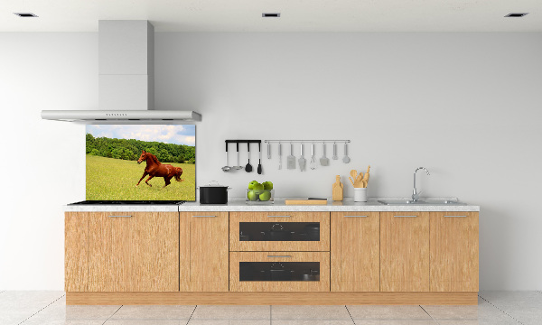 Glazen achterwand keuken Een paard in de wei