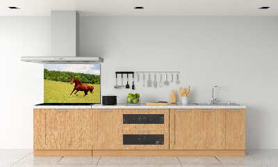 Glazen achterwand keuken Een paard in de wei