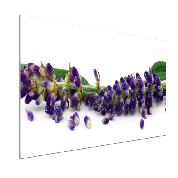 Spatplaat keuken Lavendel