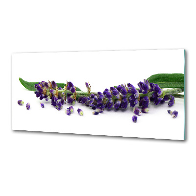 Spatplaat keuken Lavendel