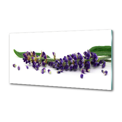 Spatplaat keuken Lavendel